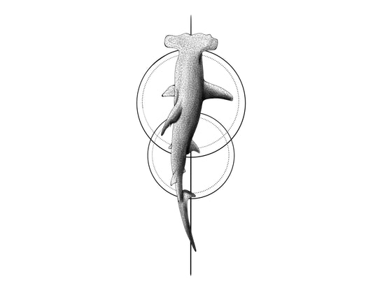 Flash Tattoo Requin Marteau
