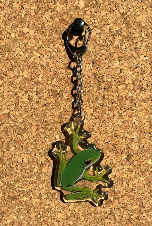 Porte clé grenouille