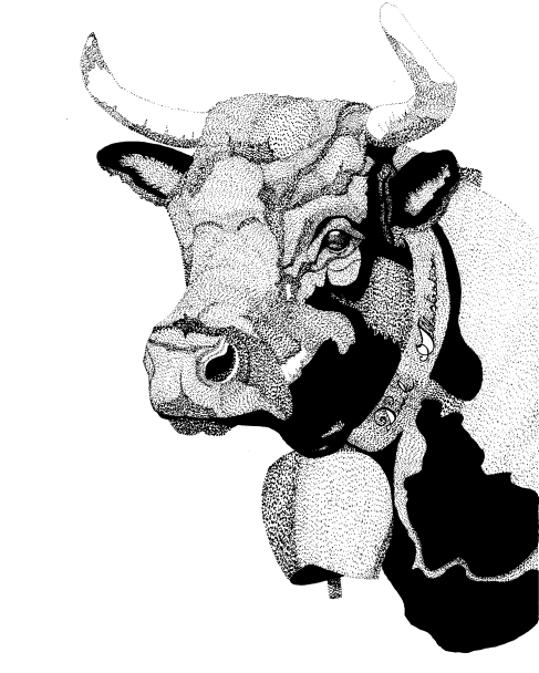 Print A5 Vache