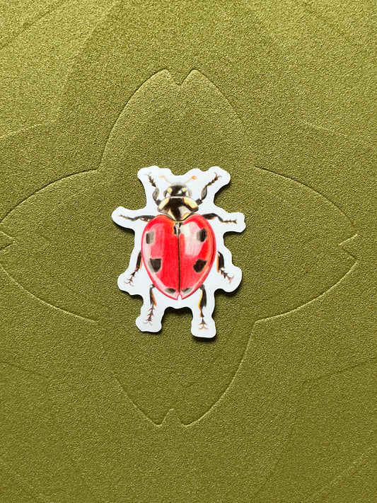 Sticker Coccinelle